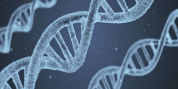 Can Chiropractic Affect Your Genes?